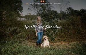 Hearthstone Labradors sm